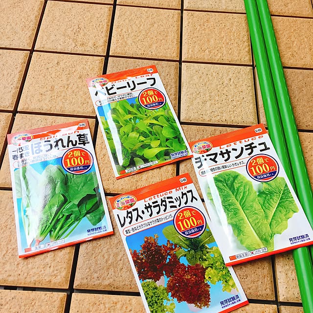 basilさんの実例写真