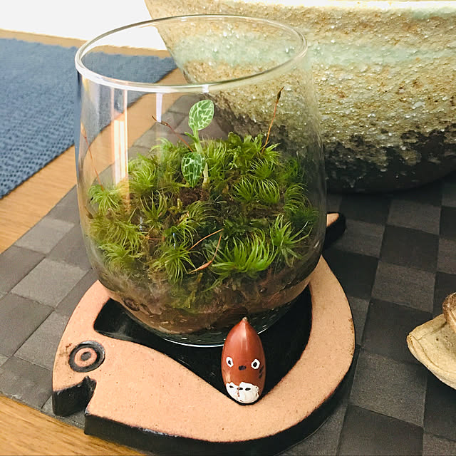 monさんの実例写真