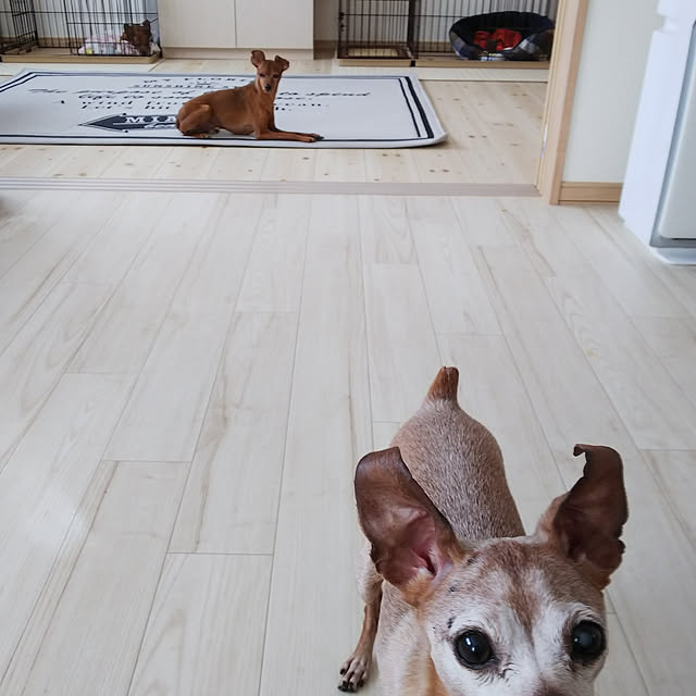 mimiさんの実例写真