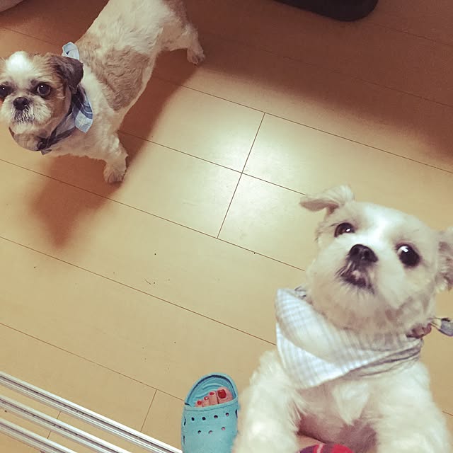 emiさんの実例写真