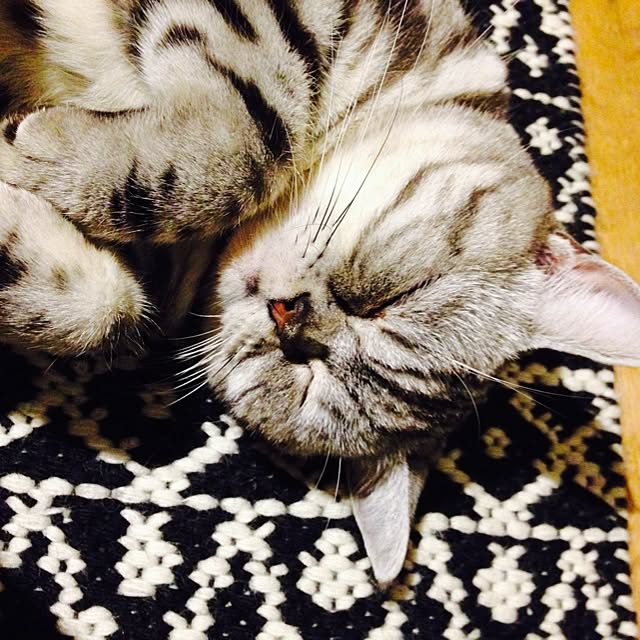 fuku48さんの実例写真