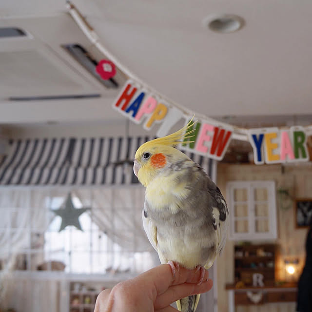 r_6cafeさんの実例写真