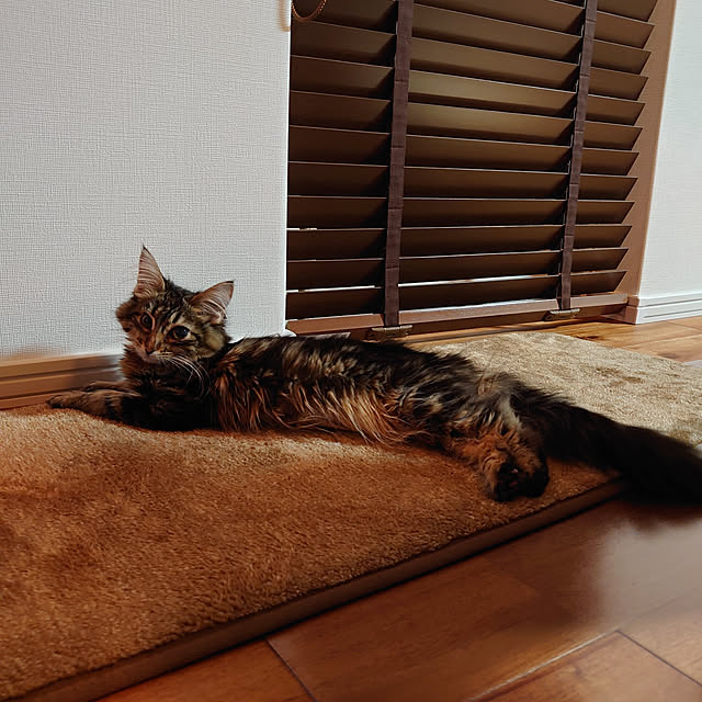 EMRさんの実例写真