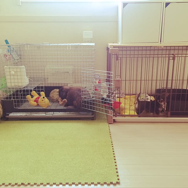 Kanaeさんの実例写真