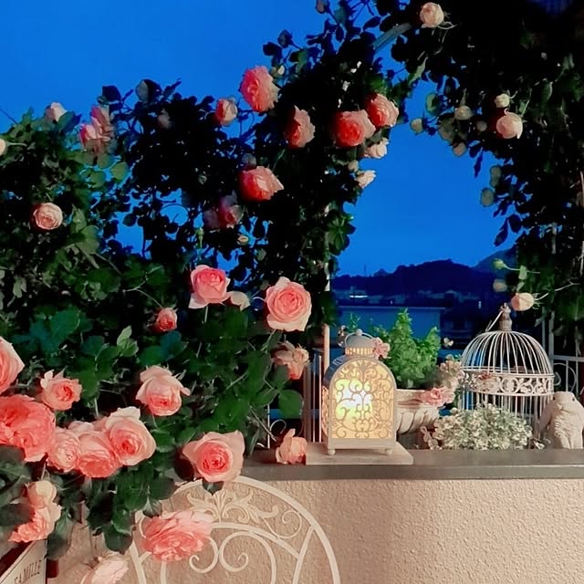 twinkle-butterfly38さんの実例写真