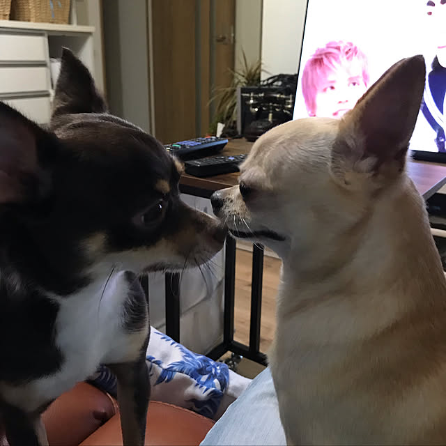 nacchintunnさんの実例写真
