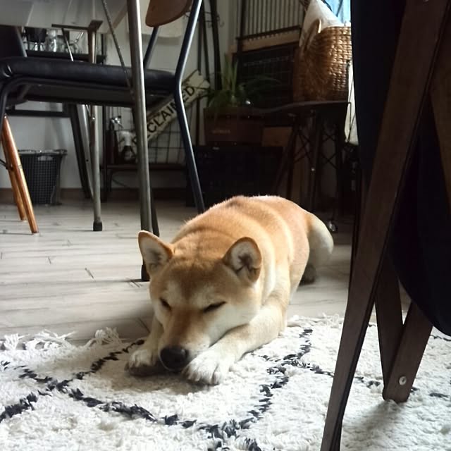 kさんの実例写真