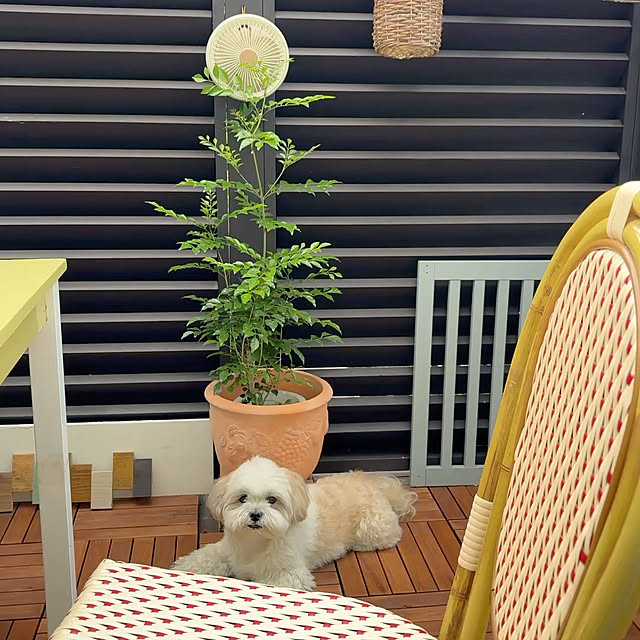 akさんの実例写真