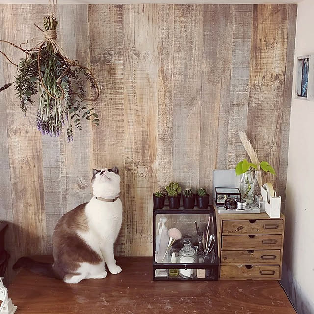 rskさんの実例写真