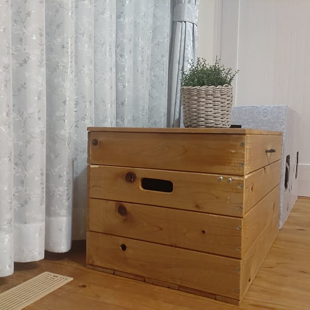 38catさんの部屋
