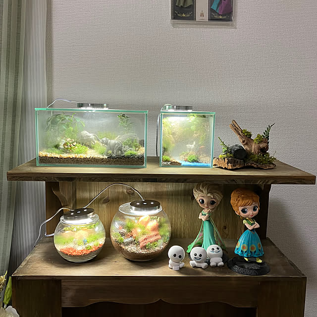 rockoさんの実例写真