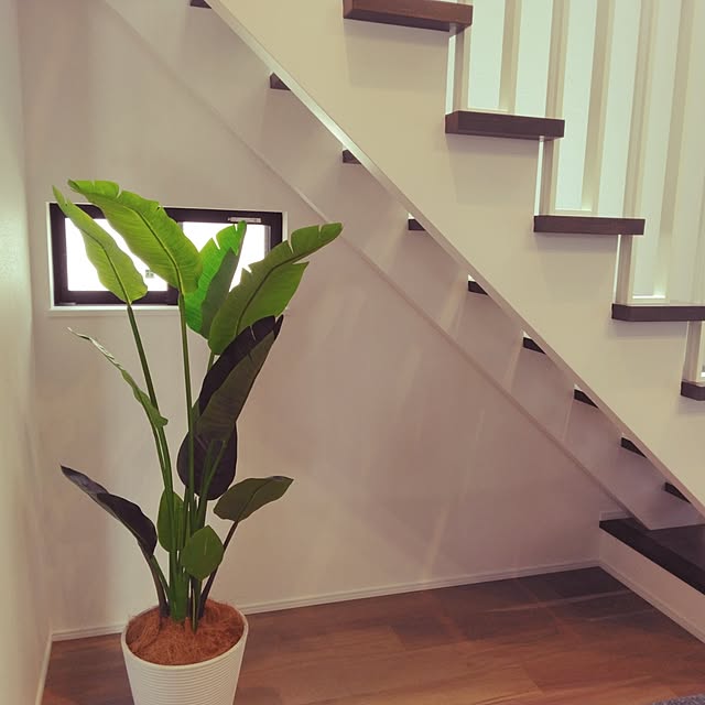 tomo3さんの部屋