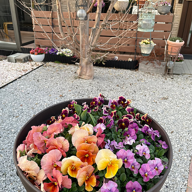 ronronさんの部屋