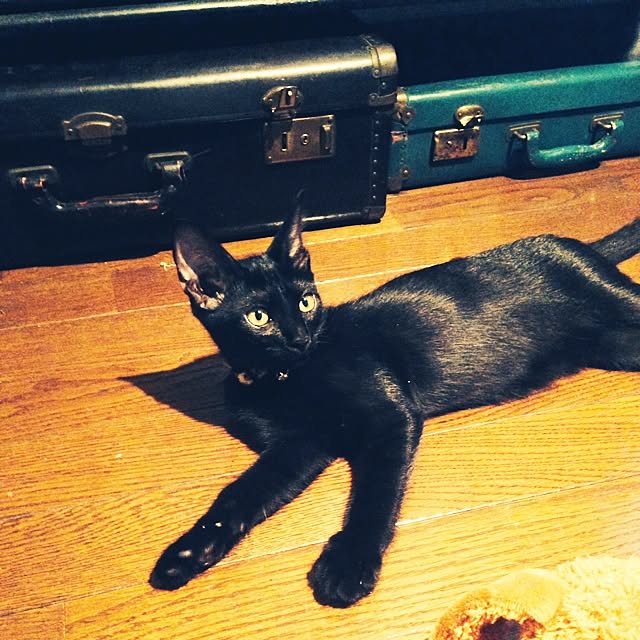 Naoki.さんの実例写真