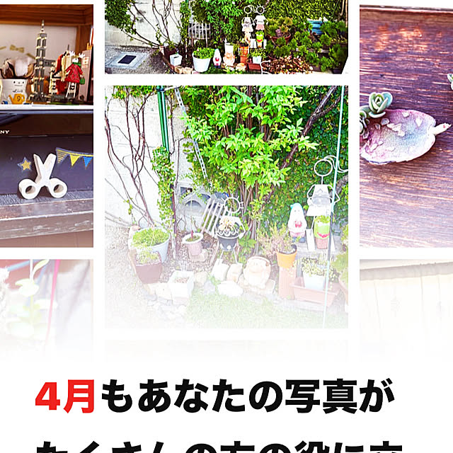 takakoさんの実例写真