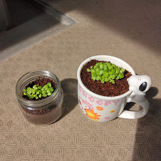 tomo3さんの実例写真