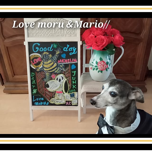 moruさんの部屋