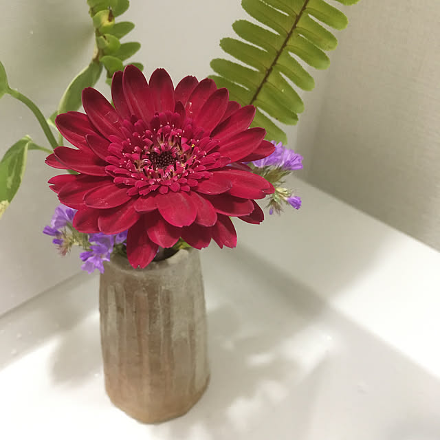 Ryokoさんの実例写真