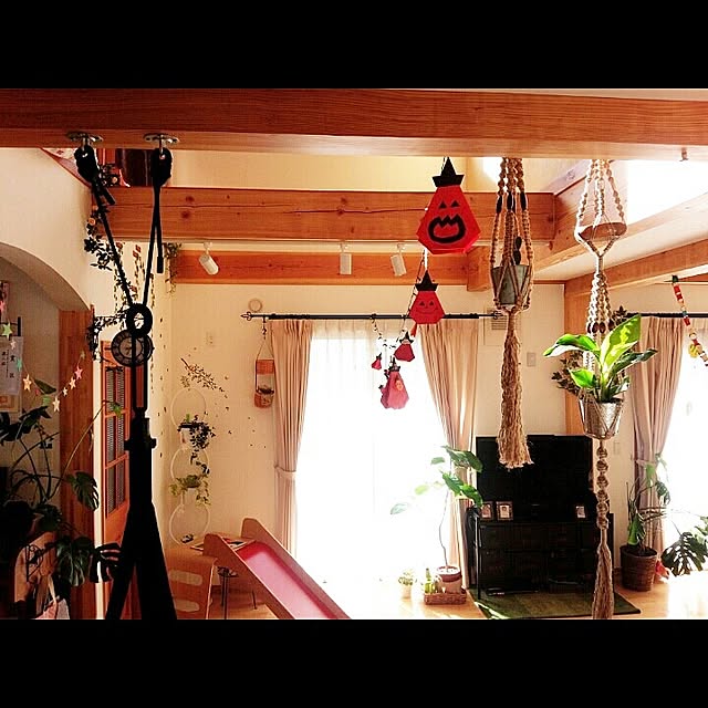 実例写真