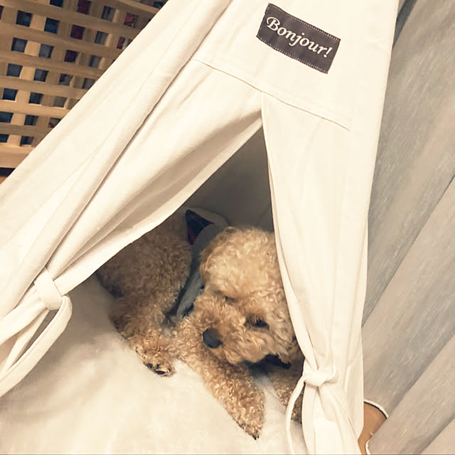 Qooさんの部屋