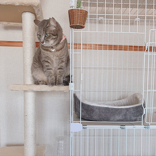 Yukiさんの実例写真