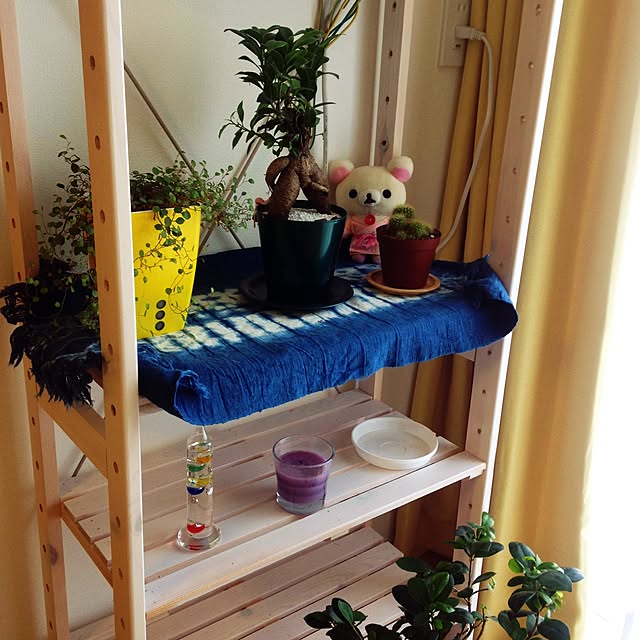 棚/ハンドメイド/観葉植物のインテリア実例 - 2015-08-17 03:06:07