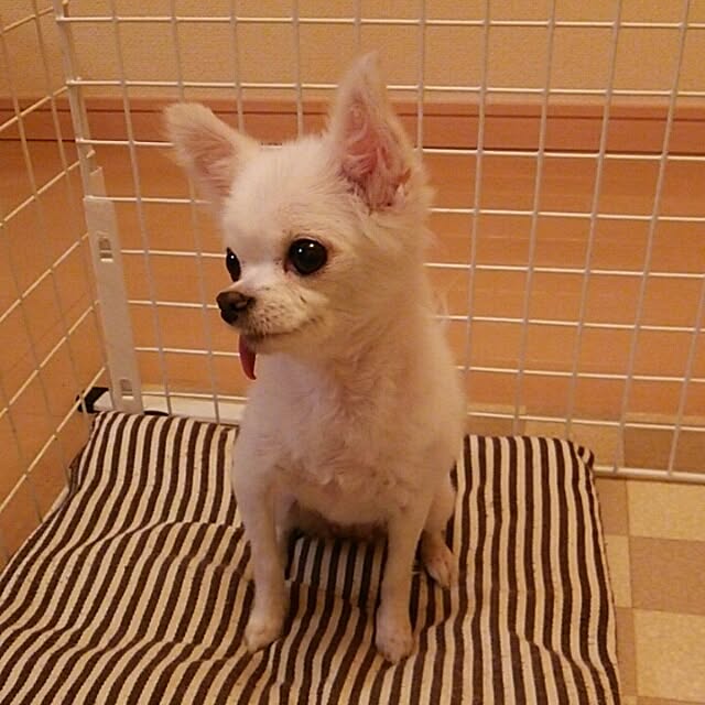 0Kei.さんの実例写真