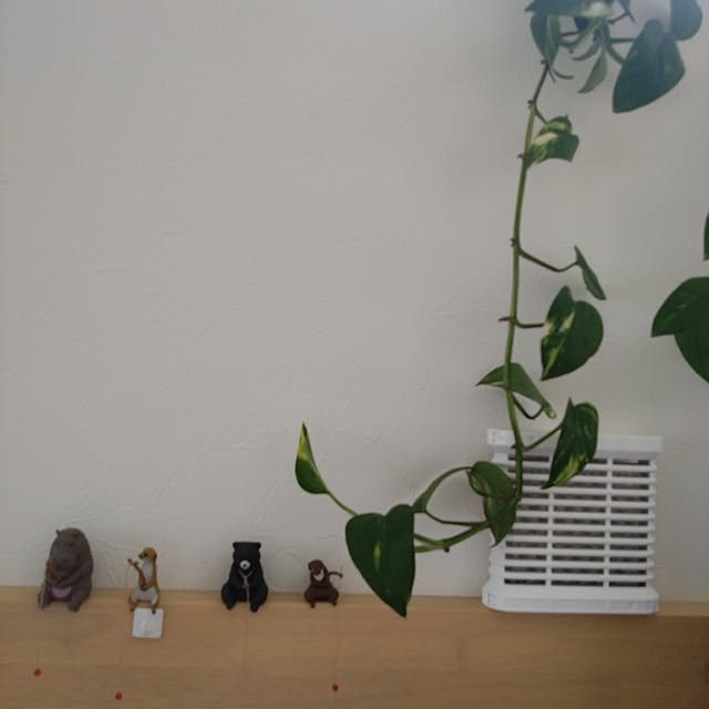 yaikoさんの部屋