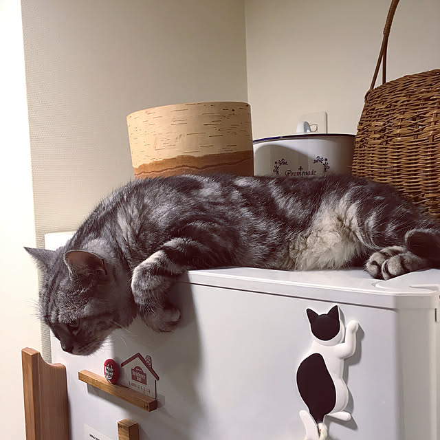 mikomaruさんの実例写真