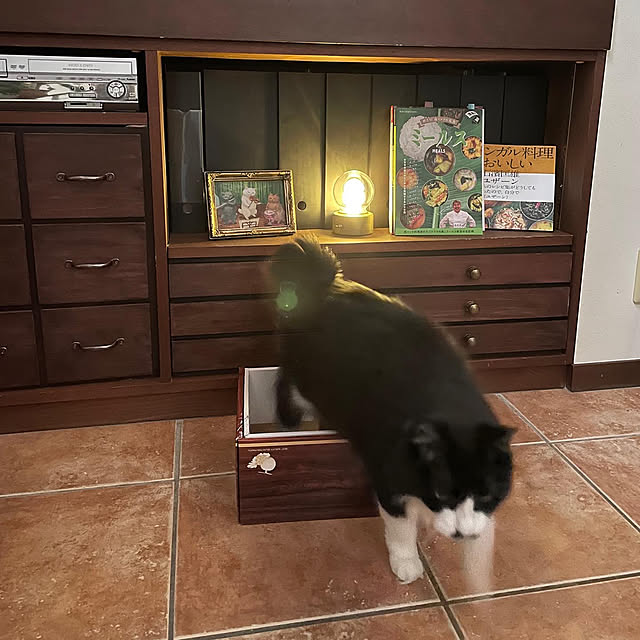 shigimiさんの実例写真