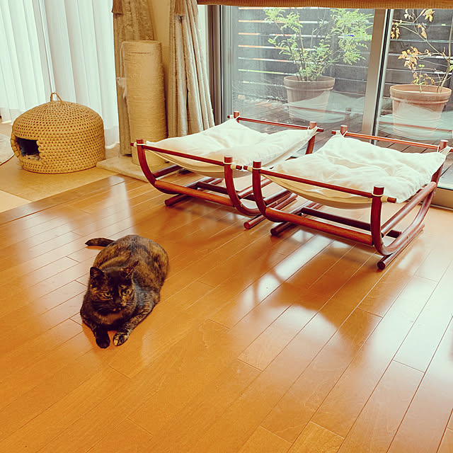 mameazさんの実例写真