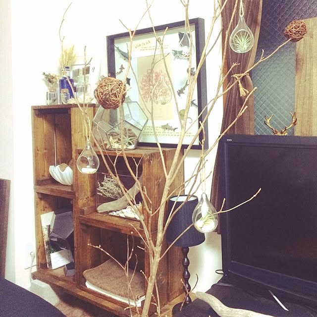 Kikiさんの実例写真