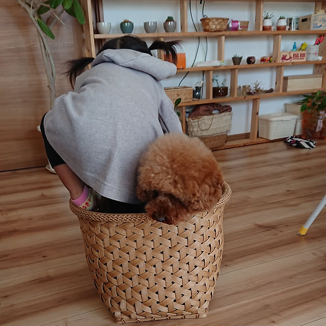 kotaroさんの実例写真