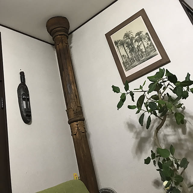 atsu555さんの実例写真