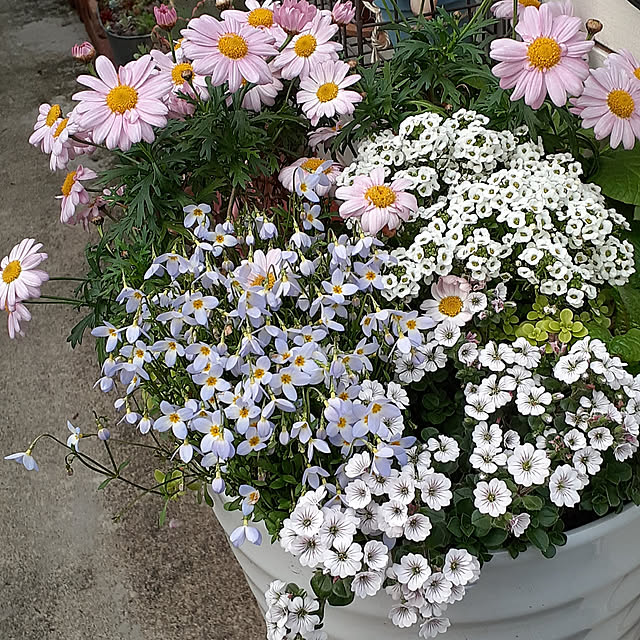 amtさんの実例写真