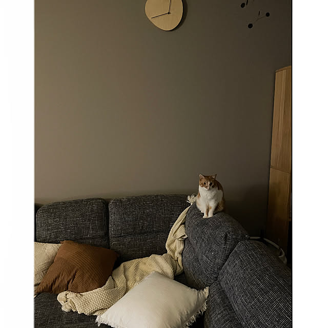 Rioさんの実例写真