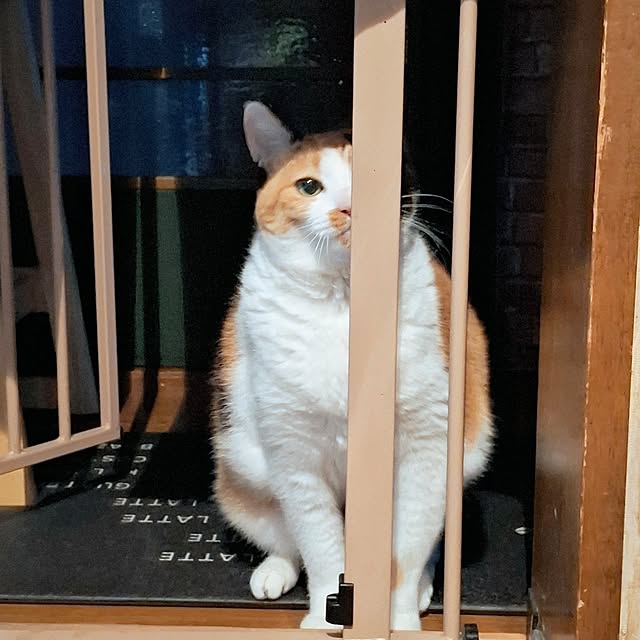 nanaさんの実例写真