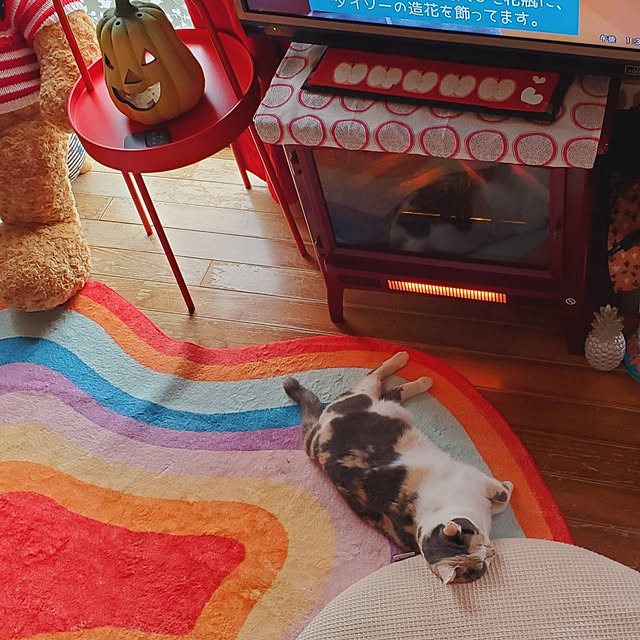 kumutanさんの部屋