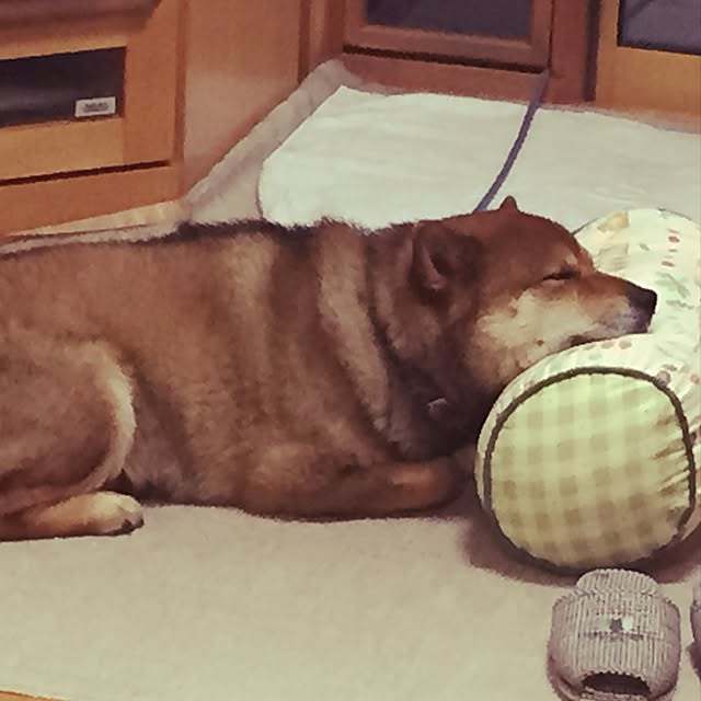 88snowさんの実例写真