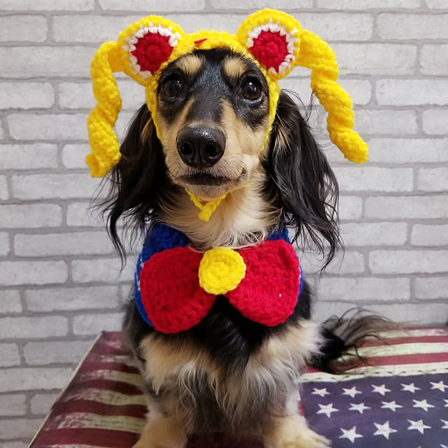 momozouさんの実例写真