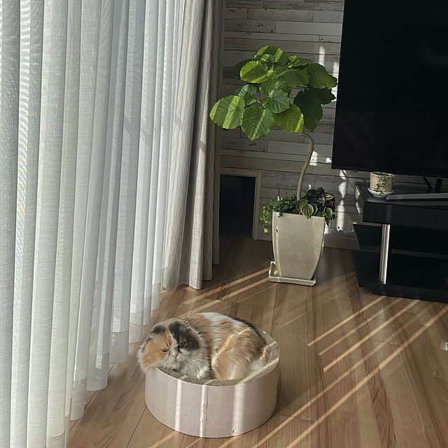 Kaorinさんの実例写真
