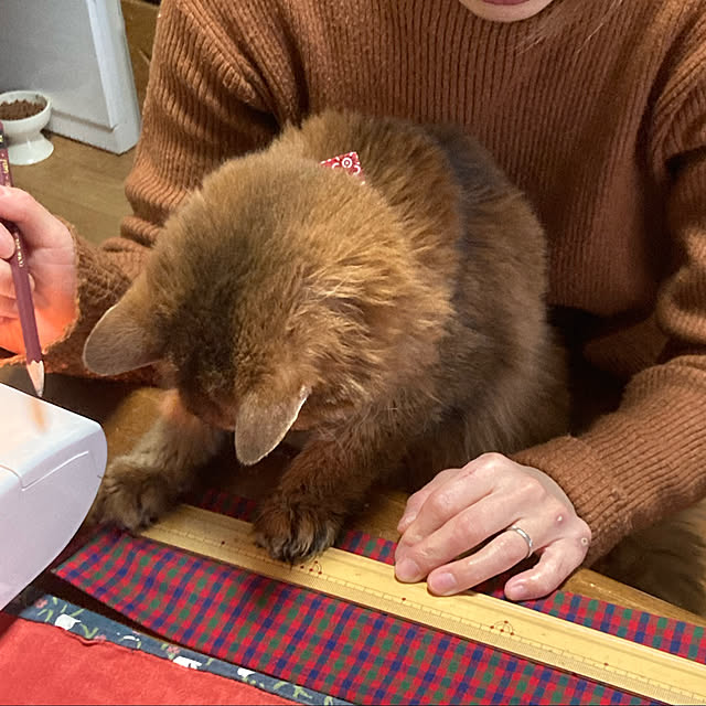 yukarinさんの実例写真