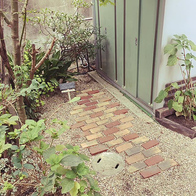 machaさんの実例写真
