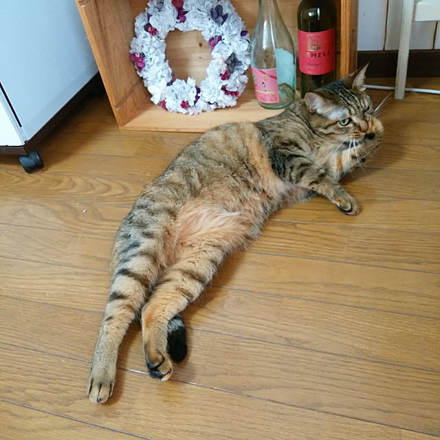 taikoさんの実例写真