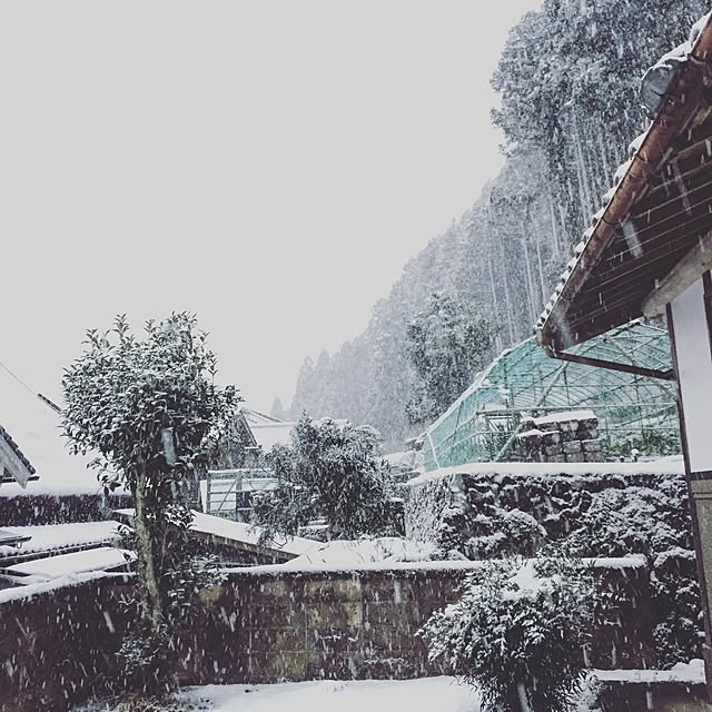 torihanaさんの実例写真