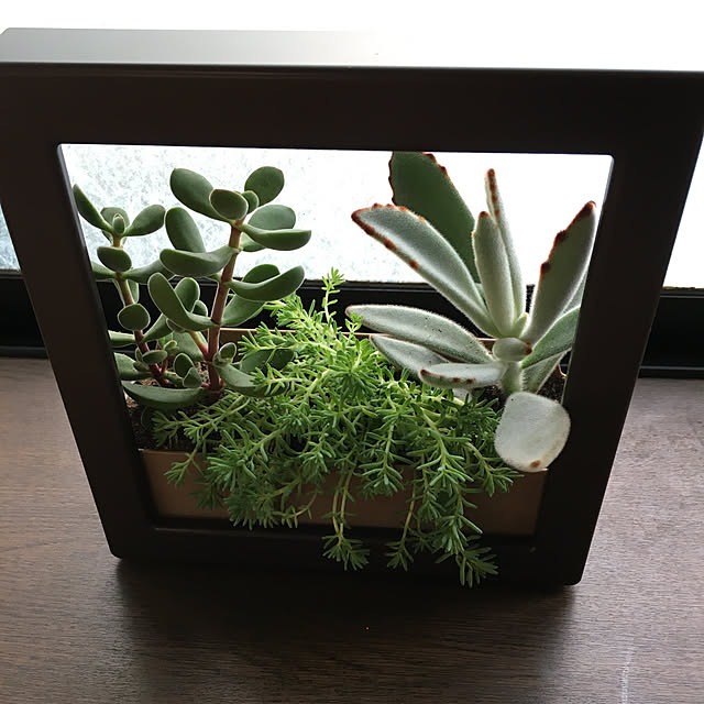 luckyさんの実例写真