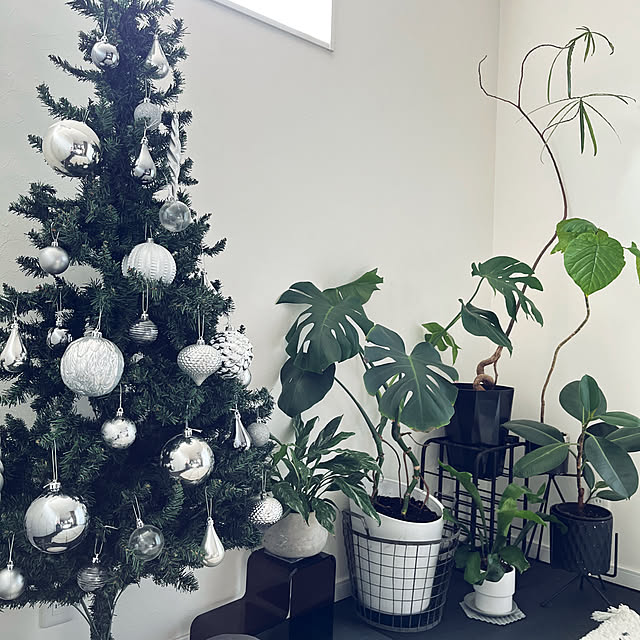 ameさんの実例写真