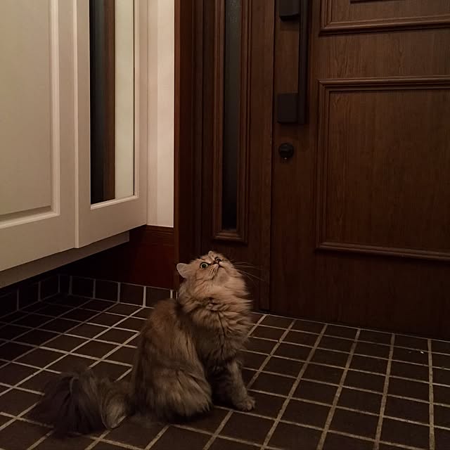 butachanさんの実例写真
