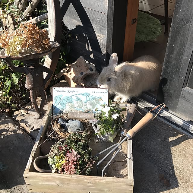 Mackyさんの実例写真