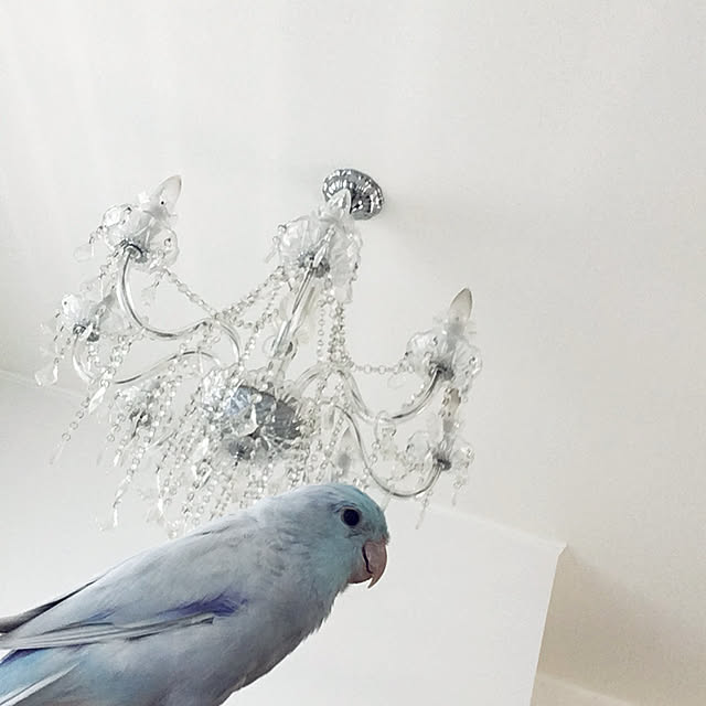linaさんの実例写真